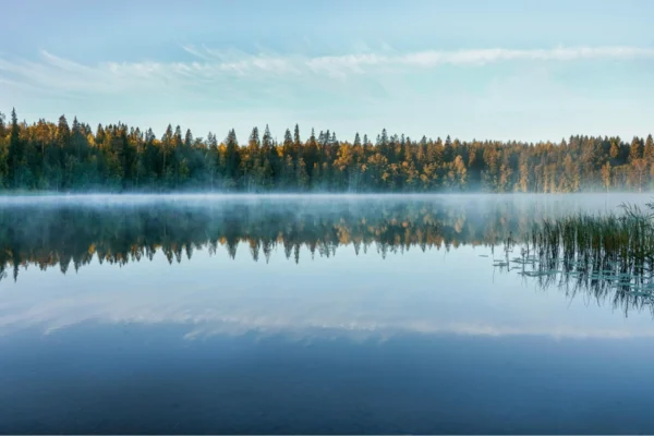 Finland_Safe _Environment