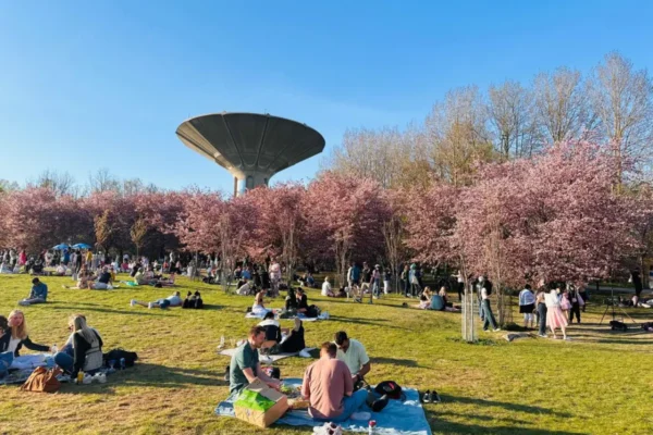 World_Happiest_Country in the World